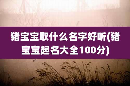 猪宝宝取什么名字好听(猪宝宝起名大全100分)