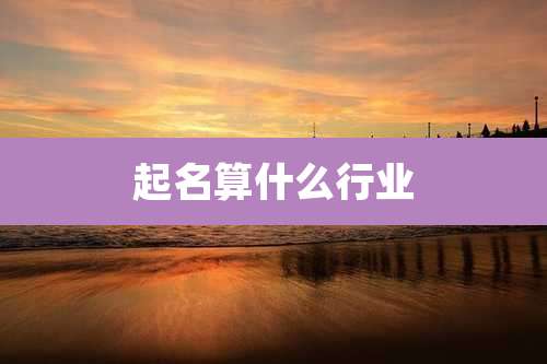 起名算什么行业