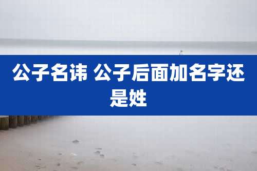 公子名讳 公子后面加名字还是姓