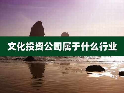 文化投资公司属于什么行业