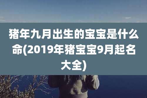 猪年九月出生的宝宝是什么命(2019年猪宝宝9月起名大全)