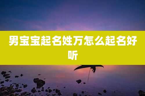 男宝宝起名姓万怎么起名好听