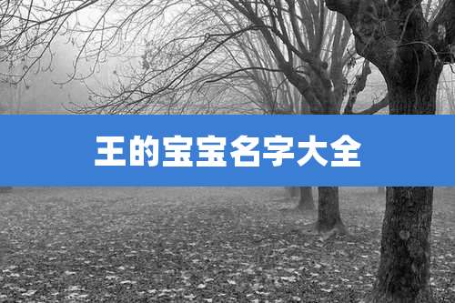 王的宝宝名字大全