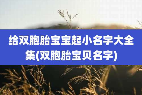 给双胞胎宝宝起小名字大全集(双胞胎宝贝名字)