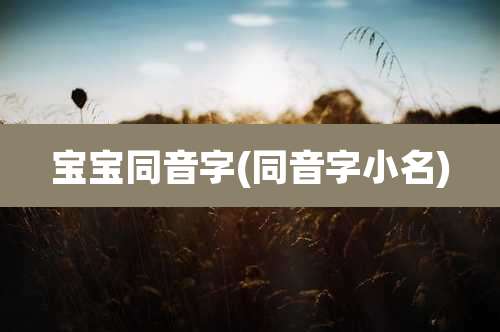 宝宝同音字(同音字小名)