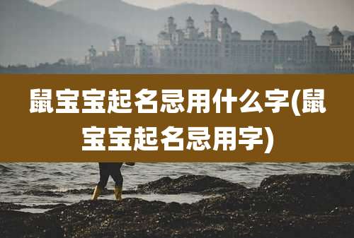 鼠宝宝起名忌用什么字(鼠宝宝起名忌用字)