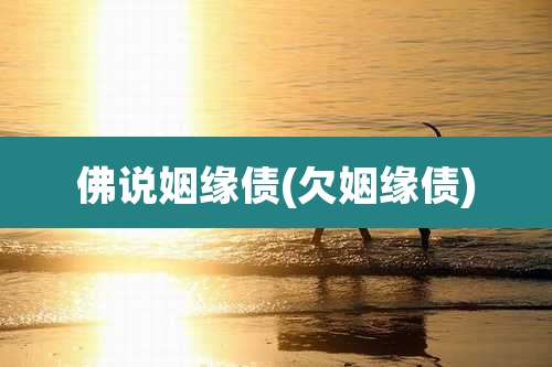 佛说姻缘债(欠姻缘债)