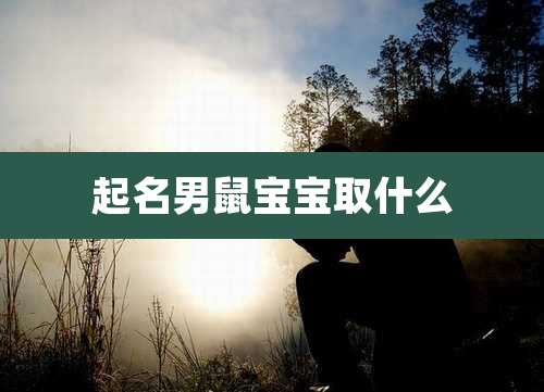 起名男鼠宝宝取什么