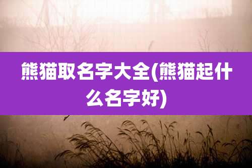 熊猫取名字大全(熊猫起什么名字好)