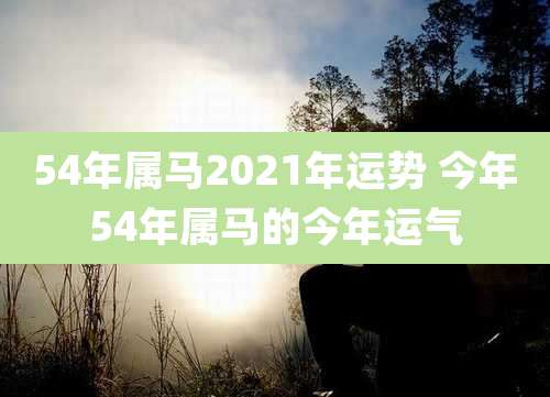 54年属马2021年运势 今年54年属马的今年运气