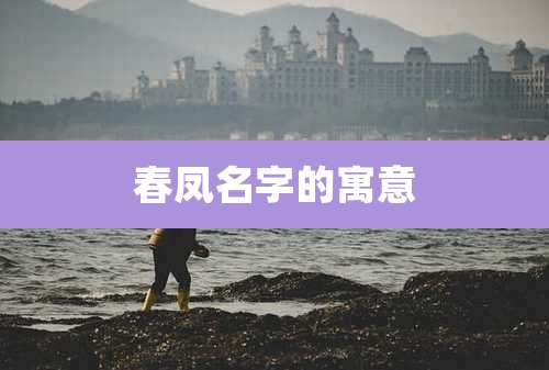 春凤名字的寓意