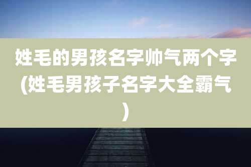 姓毛的男孩名字帅气两个字(姓毛男孩子名字大全霸气)