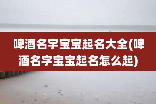 啤酒名字宝宝起名大全(啤酒名字宝宝起名怎么起)