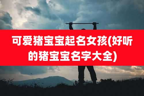 可爱猪宝宝起名女孩(好听的猪宝宝名字大全)