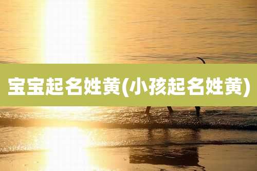 宝宝起名姓黄(小孩起名姓黄)