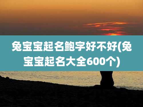 兔宝宝起名鲍字好不好(兔宝宝起名大全600个)