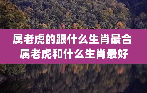 属老虎的跟什么生肖最合 属老虎和什么生肖最好