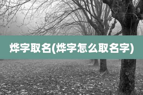 烨字取名(烨字怎么取名字)