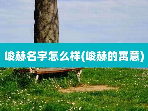 峻赫名字怎么样(峻赫的寓意)