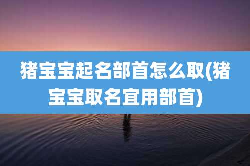 猪宝宝起名部首怎么取(猪宝宝取名宜用部首)