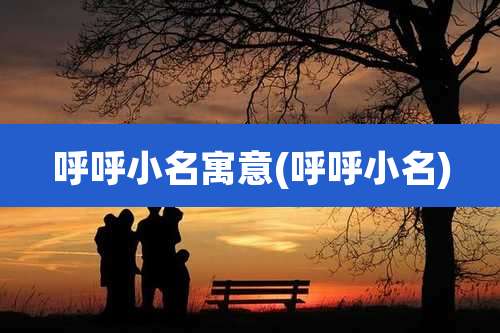 呼呼小名寓意(呼呼小名)