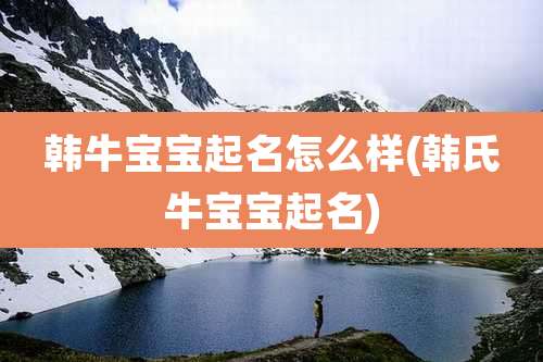 韩牛宝宝起名怎么样(韩氏牛宝宝起名)