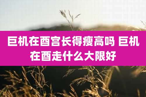 巨机在酉宫长得瘦高吗 巨机在酉走什么大限好