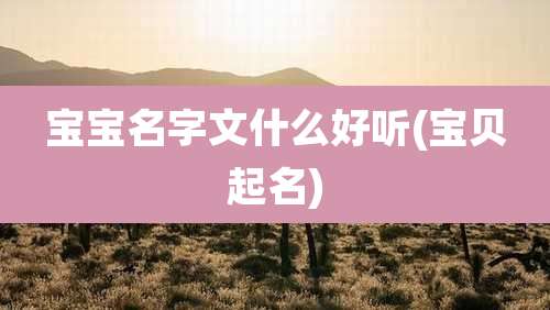 宝宝名字文什么好听(宝贝起名)