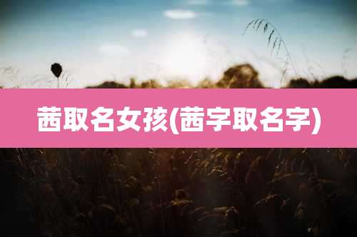 茜取名女孩(茜字取名字)