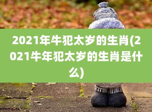 2021年牛犯太岁的生肖(2021牛年犯太岁的生肖是什么)