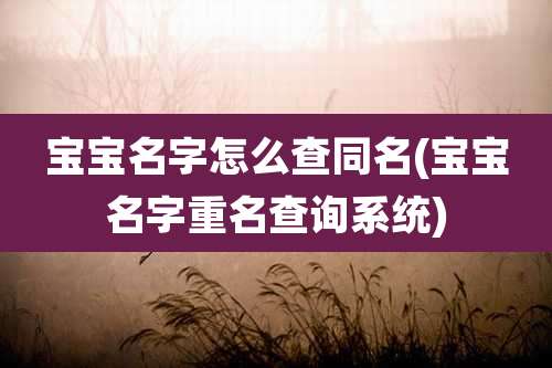 宝宝名字怎么查同名(宝宝名字重名查询系统)