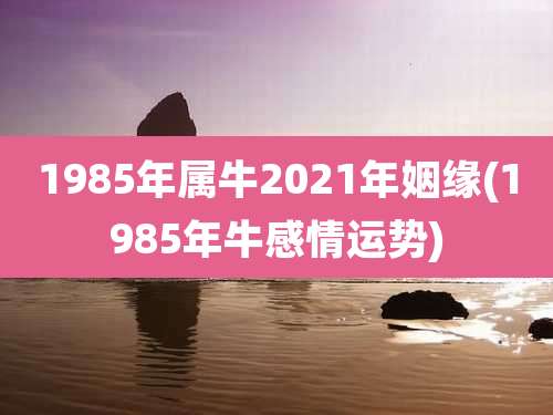 1985年属牛2021年姻缘(1985年牛感情运势)