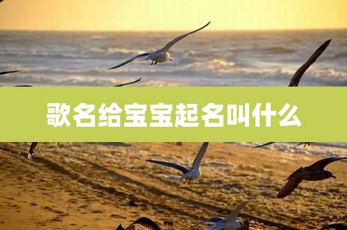 歌名给宝宝起名叫什么
