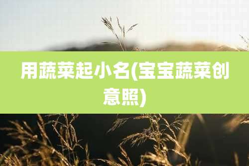 用蔬菜起小名(宝宝蔬菜创意照)