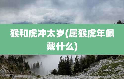 猴和虎冲太岁(属猴虎年佩戴什么)