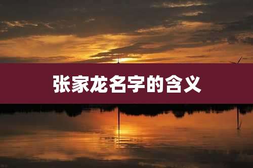 张家龙名字的含义