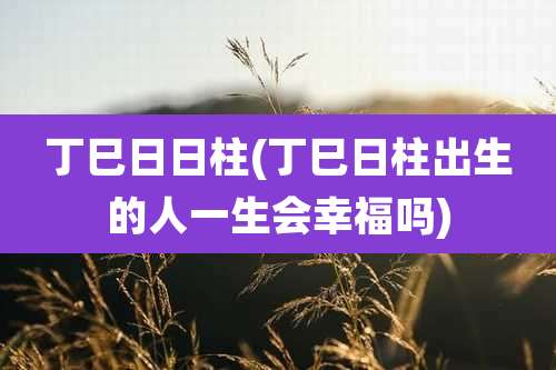 丁巳日日柱(丁巳日柱出生的人一生会幸福吗)