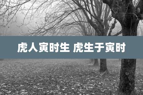 虎人寅时生 虎生于寅时