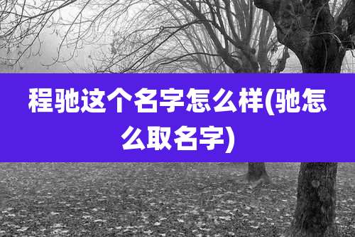 程驰这个名字怎么样(驰怎么取名字)
