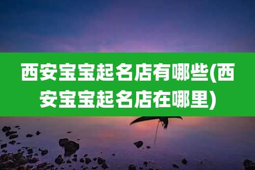 西安宝宝起名店有哪些(西安宝宝起名店在哪里)