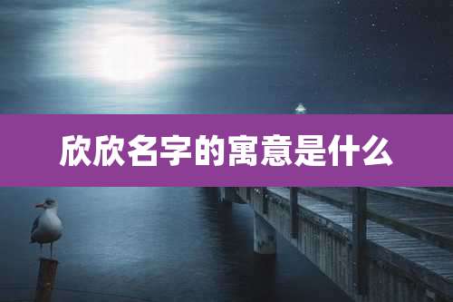 欣欣名字的寓意是什么