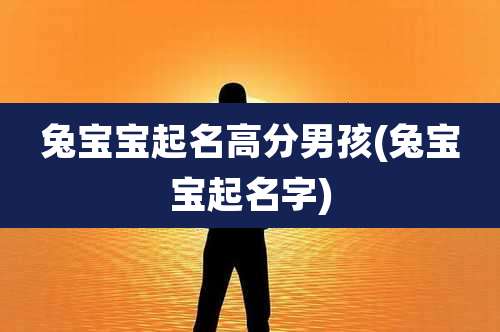 兔宝宝起名高分男孩(兔宝宝起名字)