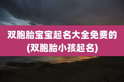 双胞胎宝宝起名大全免费的(双胞胎小孩起名)