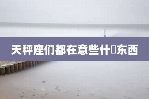 天秤座们都在意些什麼东西