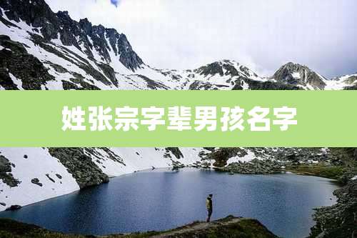 姓张宗字辈男孩名字