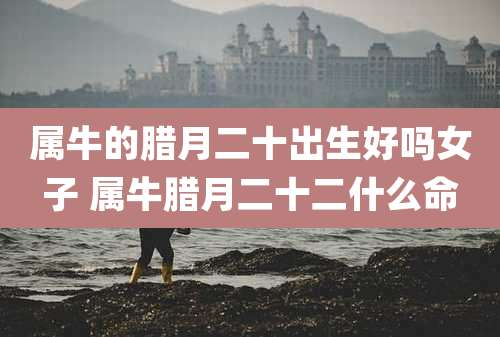 属牛的腊月二十出生好吗女子 属牛腊月二十二什么命