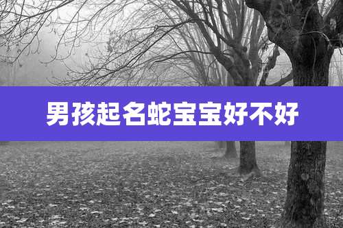 男孩起名蛇宝宝好不好