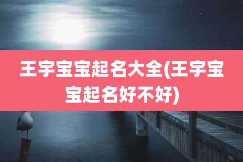 王宇宝宝起名大全(王宇宝宝起名好不好)