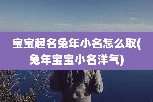 宝宝起名兔年小名怎么取(兔年宝宝小名洋气)