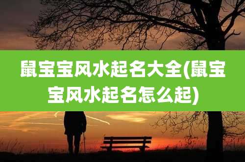 鼠宝宝风水起名大全(鼠宝宝风水起名怎么起)